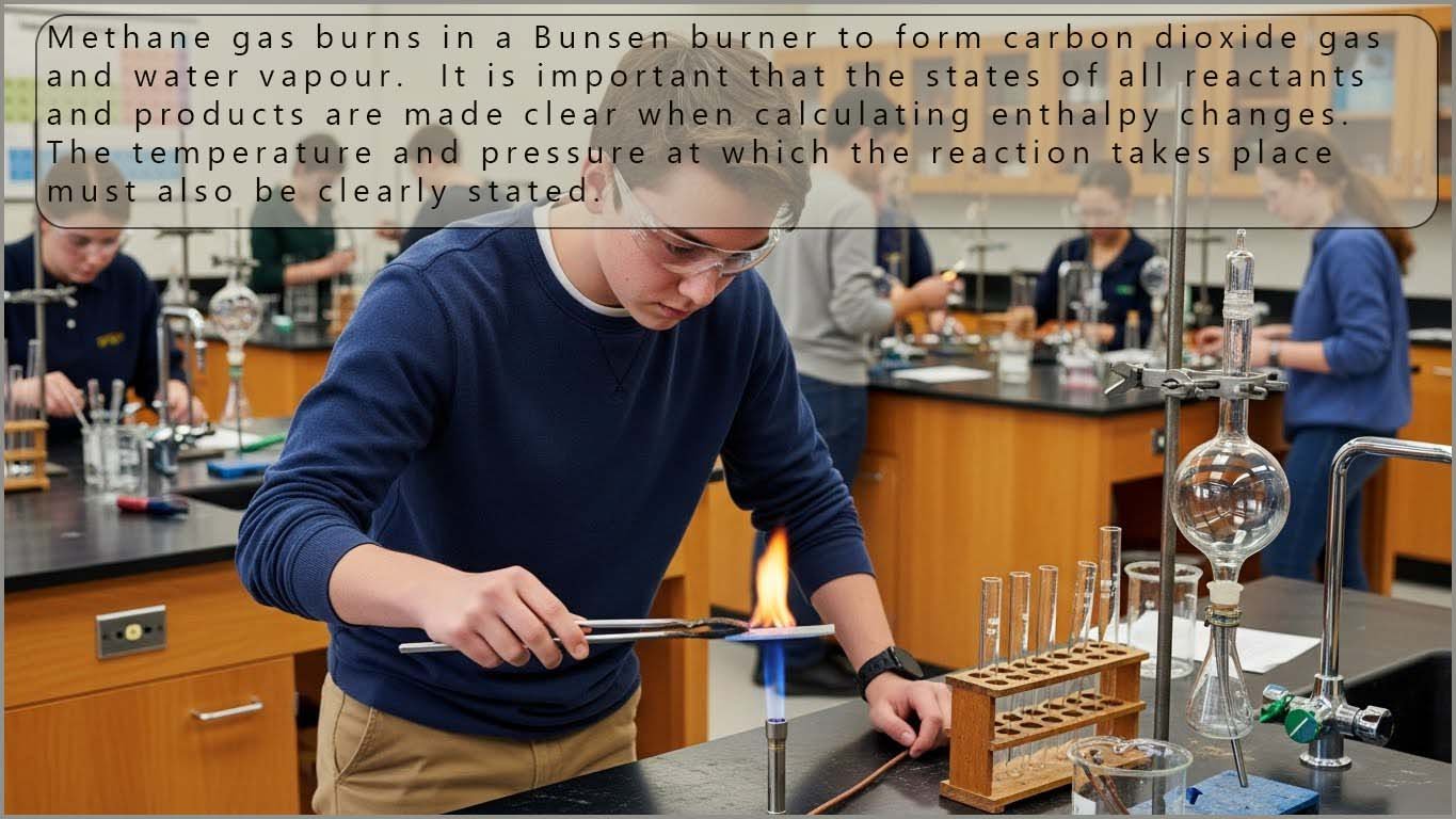 Methane gas burning in a Bunsen burner is an example of an exothermic reaction. Methane burns to form carbon dioxide and water vapour.