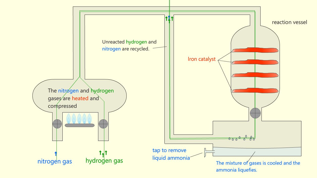 Schematic diagram to show how nitrogen and hydrogen react in the Haber process to make ammonia