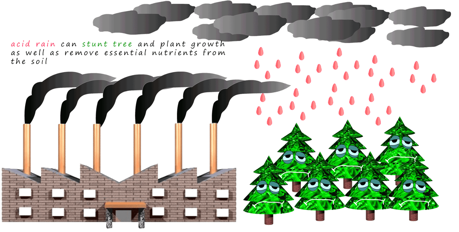 The effects of acid rain on trees and the soil.