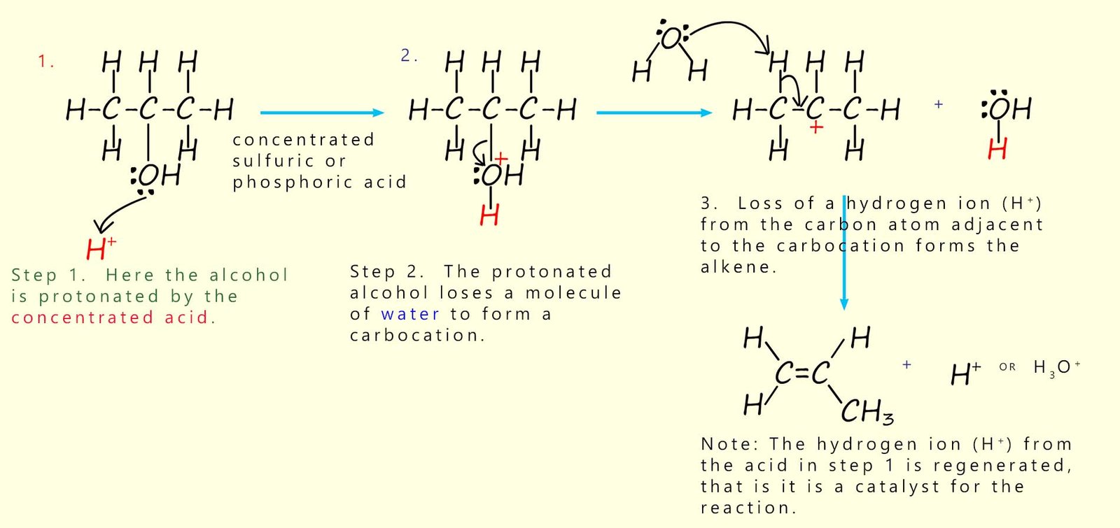Mechanism of acid catalysed dehydration of an alcohol