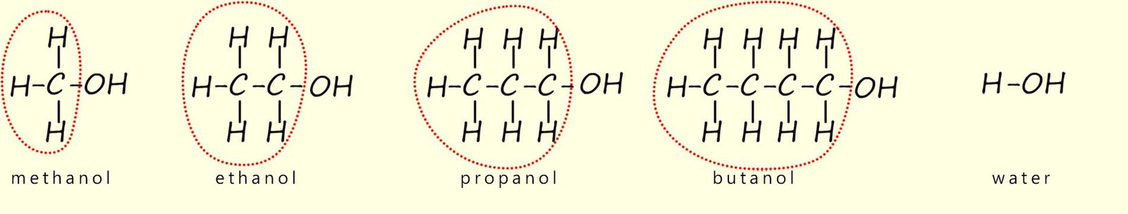 reaction of alcohol and sodium
