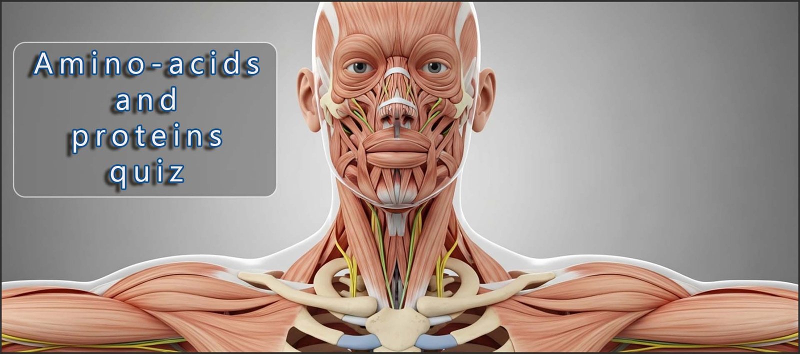 Header image-Outline of muscles and skeleton in the head and upper torso.