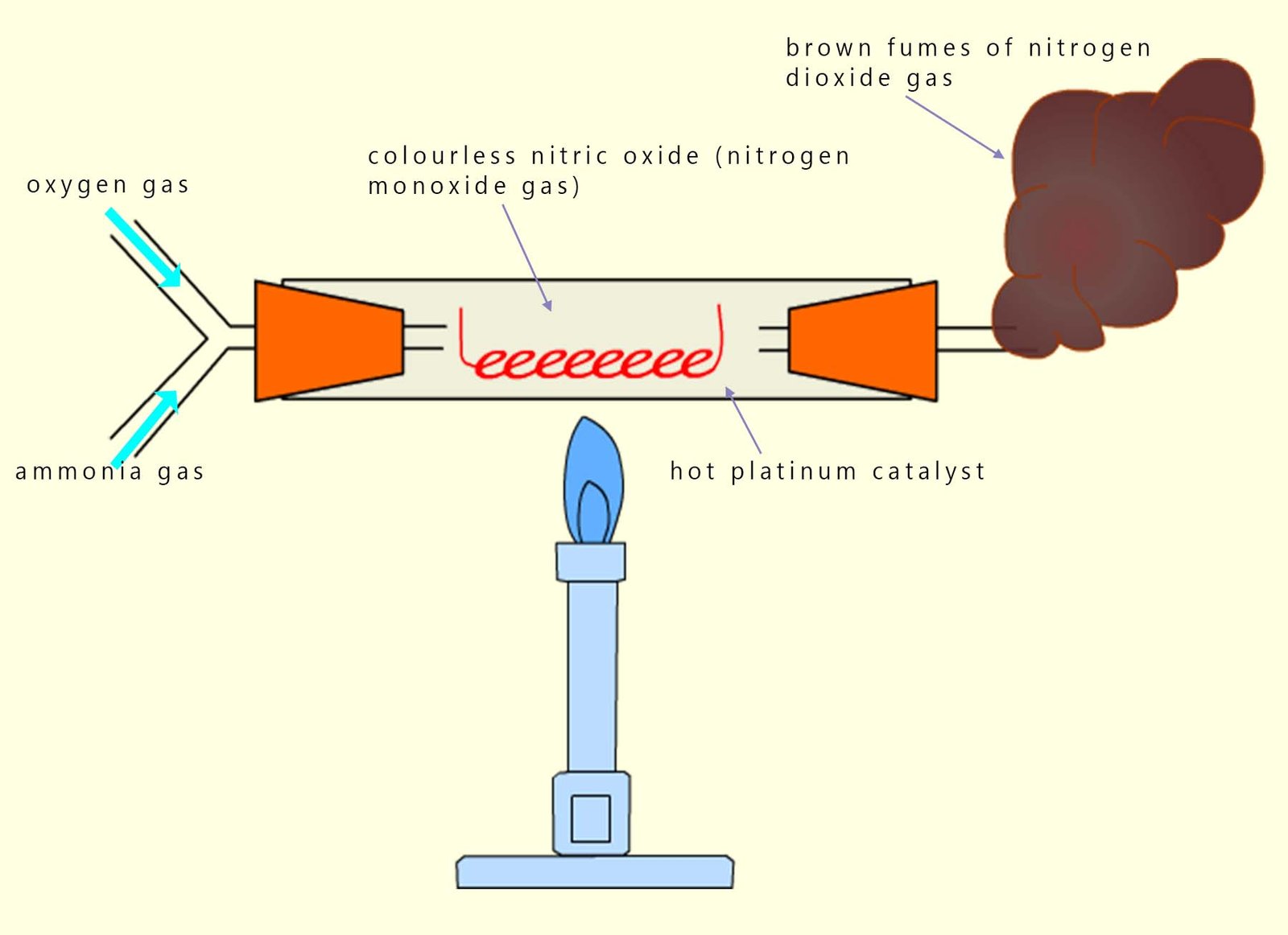 Oxidation of ammonia in presence of a platinum catalyst to form nitrogen dioxide gas.