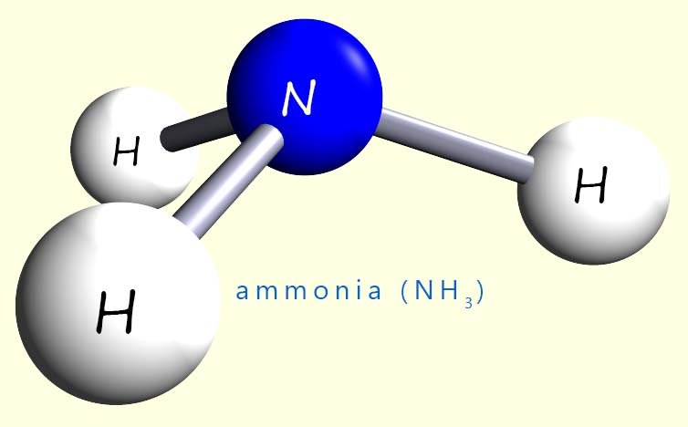 3d model of an ammonia molecule.