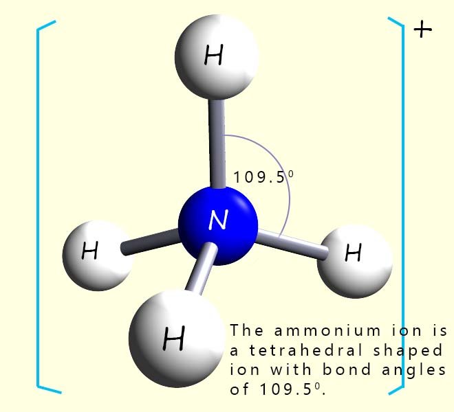3D model showing the shape of an ammonium ion.
