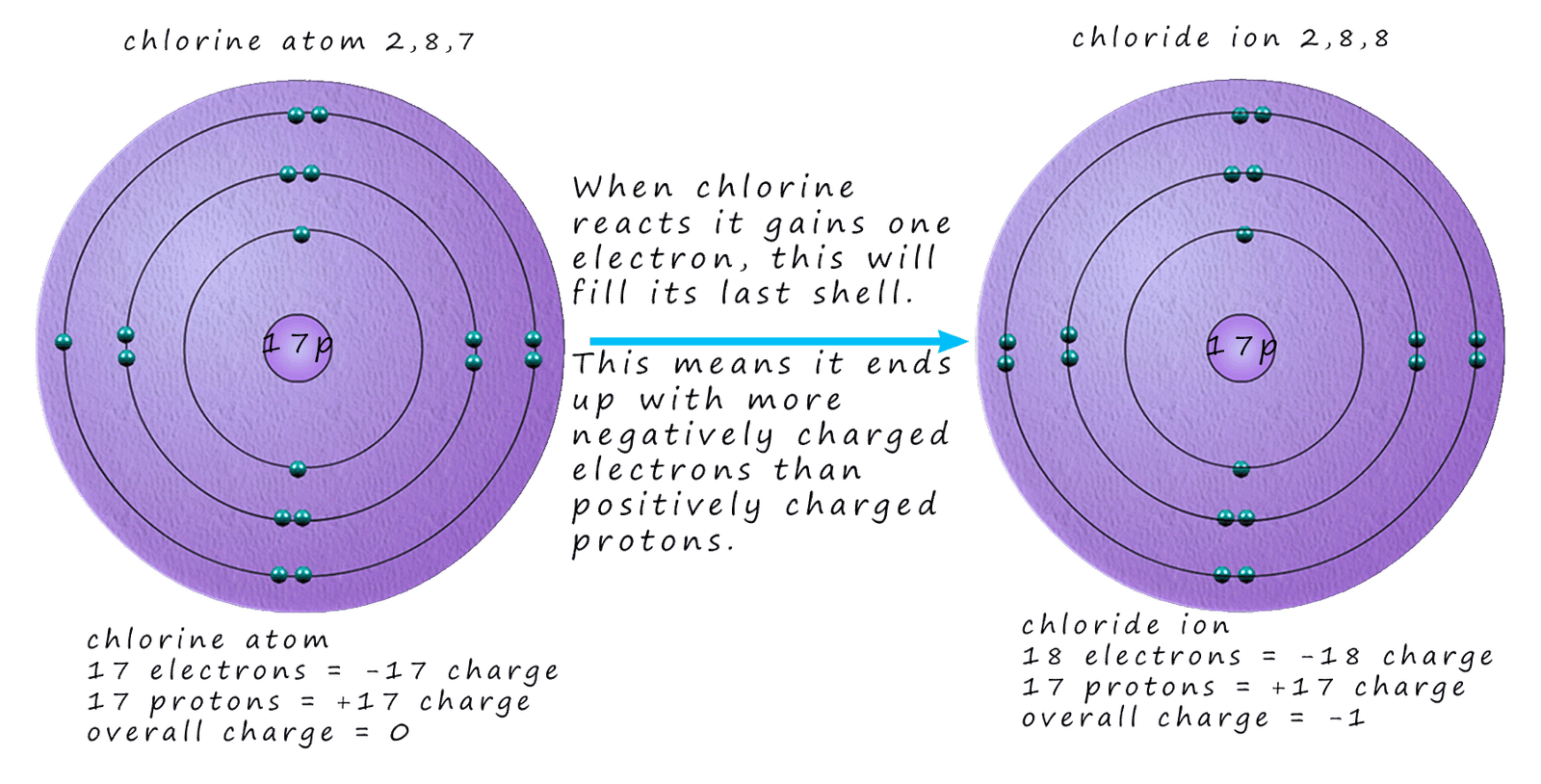 Chloine atoms gain 1 electron to form a chloride ion.