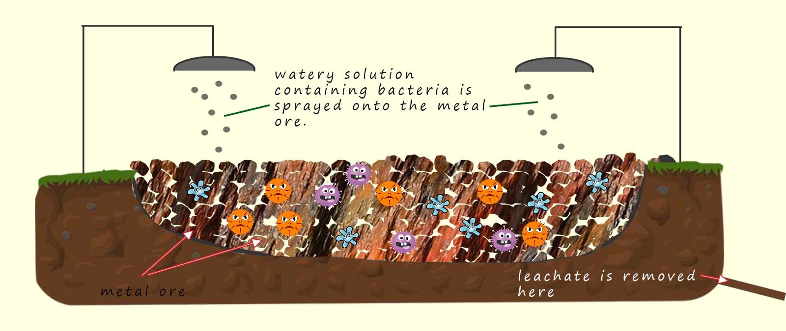 bioleaching set up to obtain metals from metal ores.