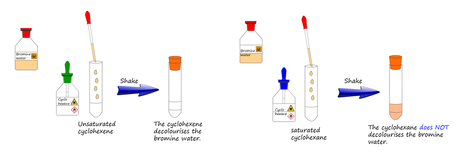 Image to show the results of adding bromine water to a saturated and unsaturated molecule of cyclohexane and cyclohexene