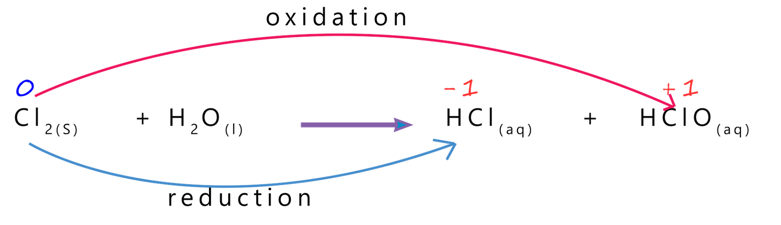 Equation showing disproportionation reaction when chlorine dissolves in water.
