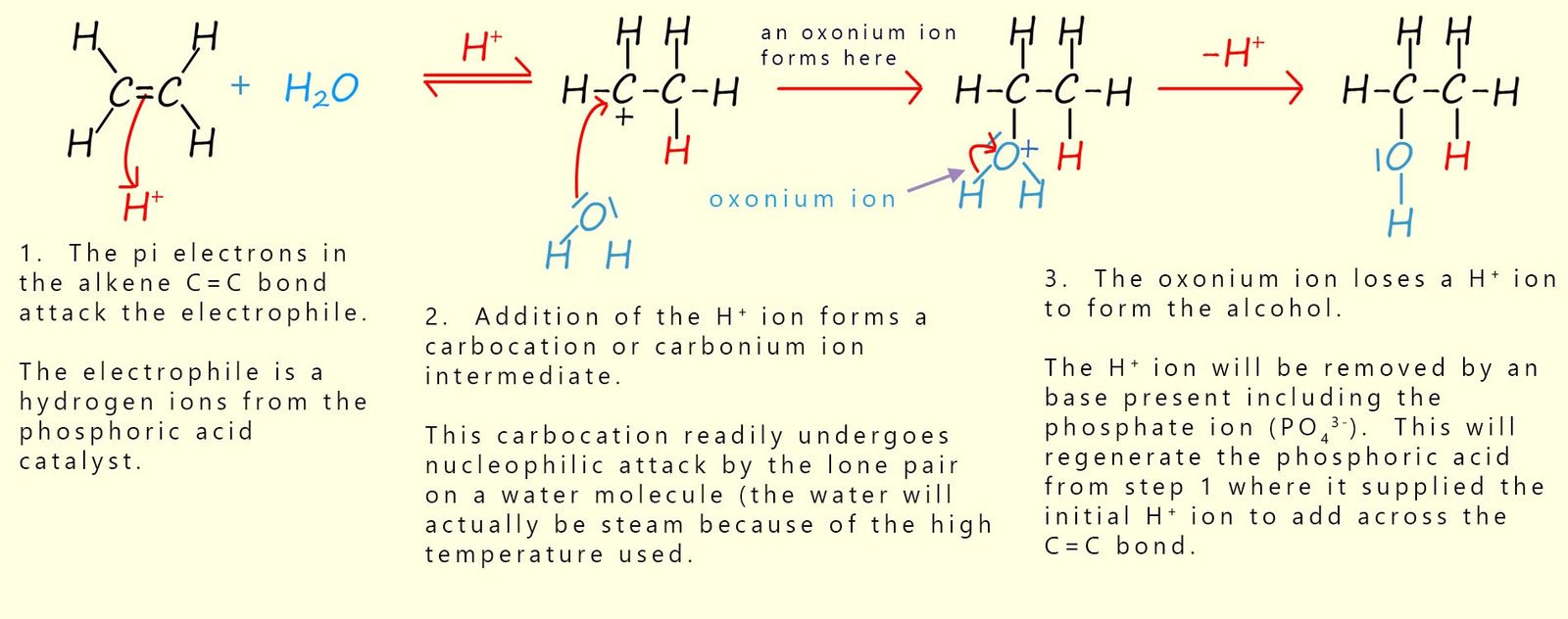 Mechanism for the hydration of ethene to ethanol using a phosphoric acid catalyst.