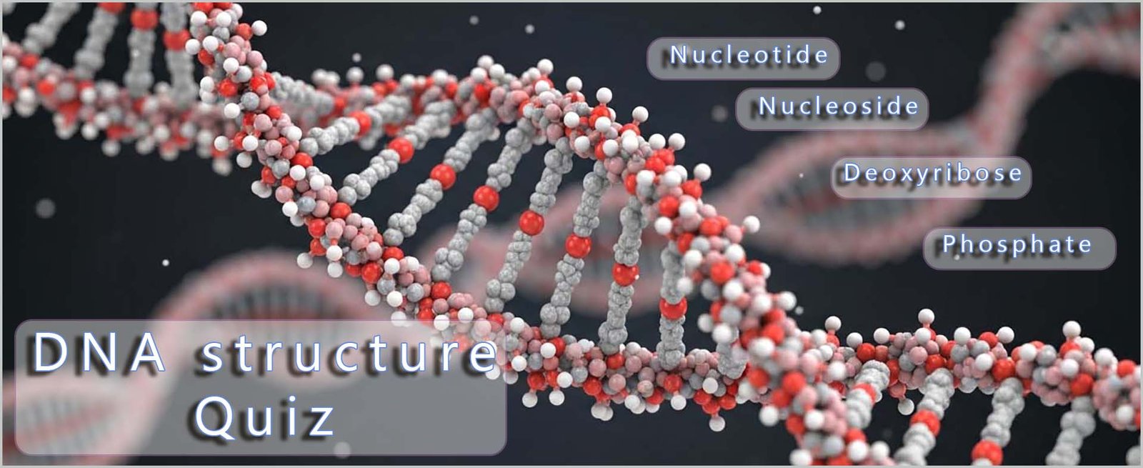 Header image: DNA double helix.