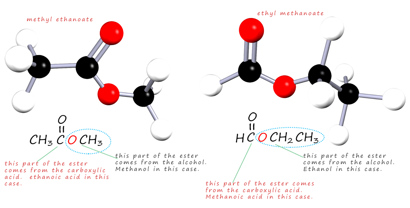 3d models to show the structure of methyl ethanoate and ethyl methanoate and how these esters are formed.