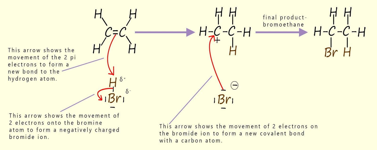 Detailed explanation of the mechanism of the electrophilic addition of hydrogen bromide to an alkene.