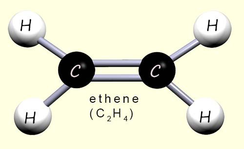 Displayed formula of ethene