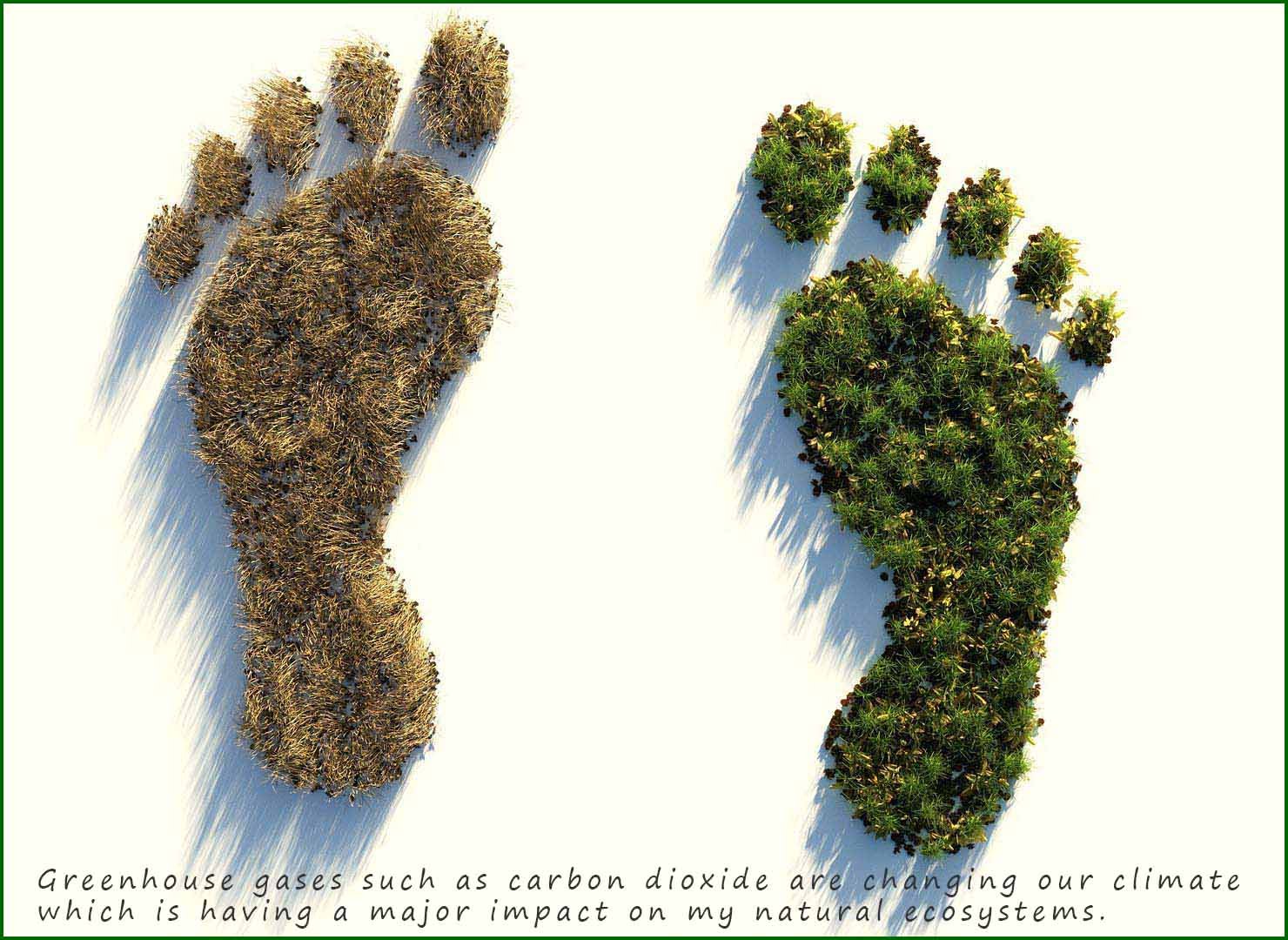 Carbon footprint and climate change.