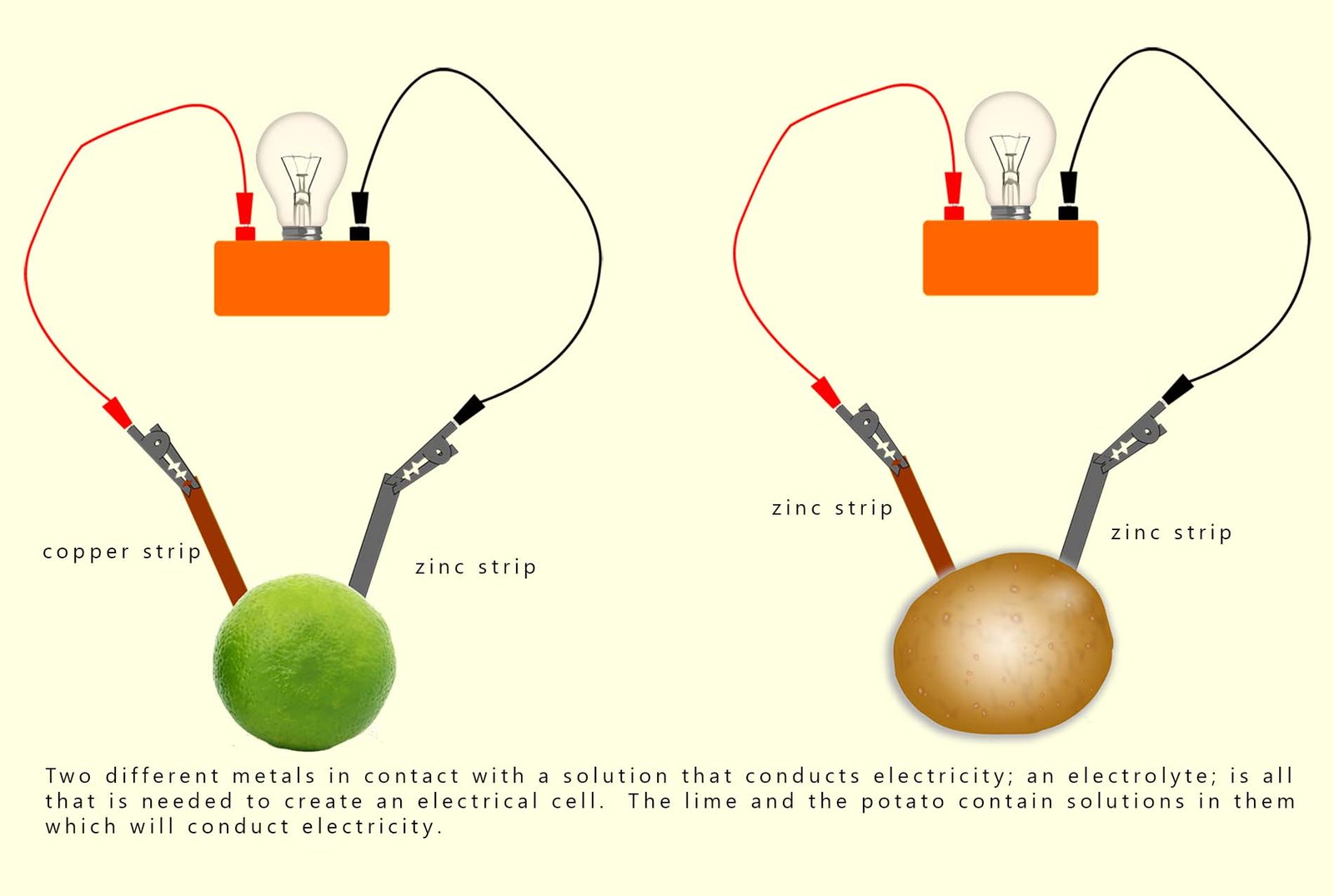 Making a simple cell using a piece of fruit such as an orange, lemon or a piece of lime. You also need two different metals