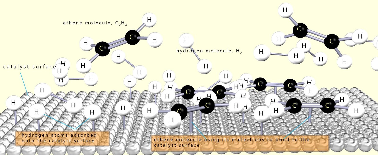 3d model showing how ethene is hydrogenated on a catalyst surface.