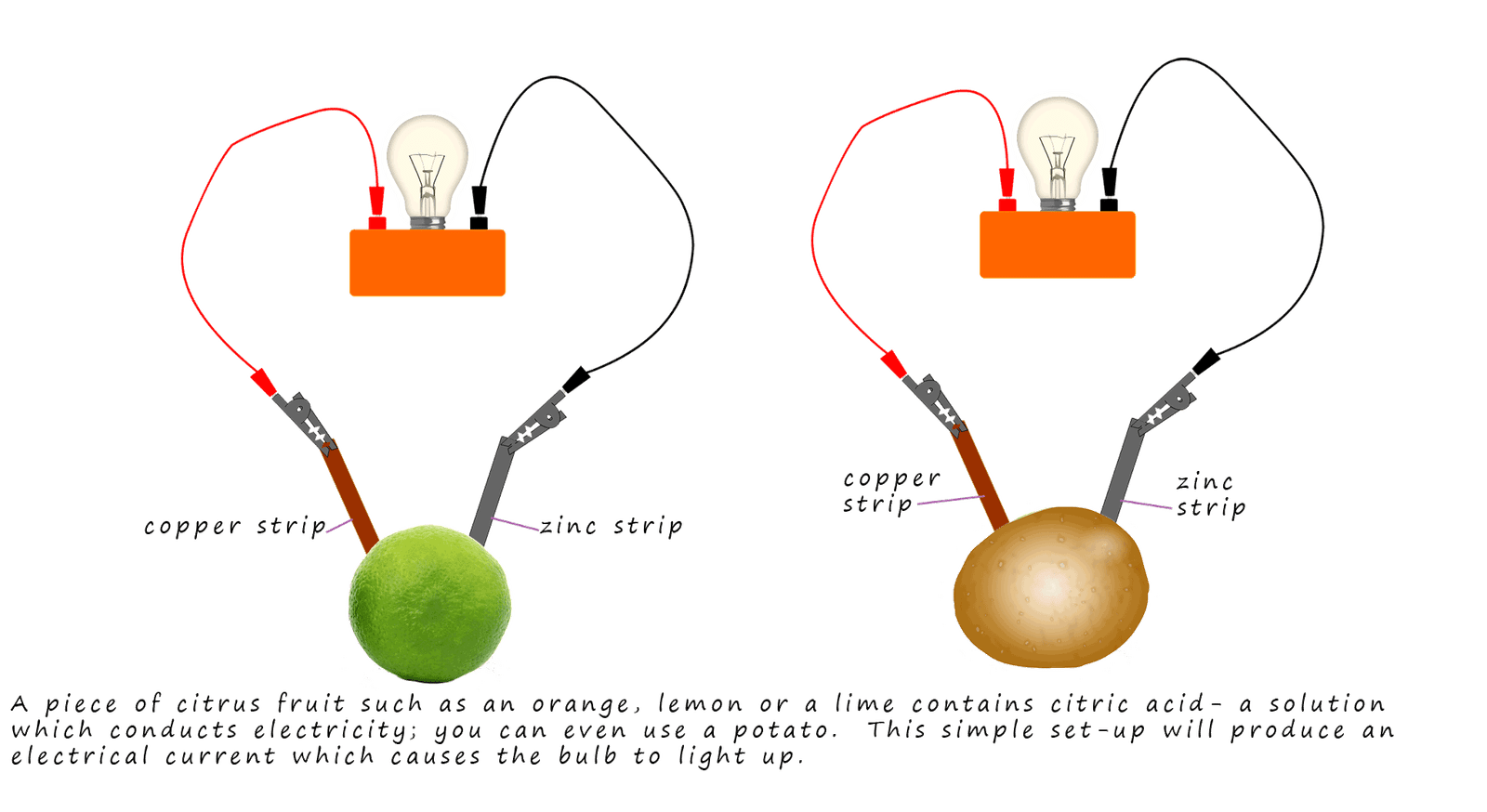 Making a simple cell using a piece of fruit such as an orange, lemon or a piece of lime.  You also need two different metals