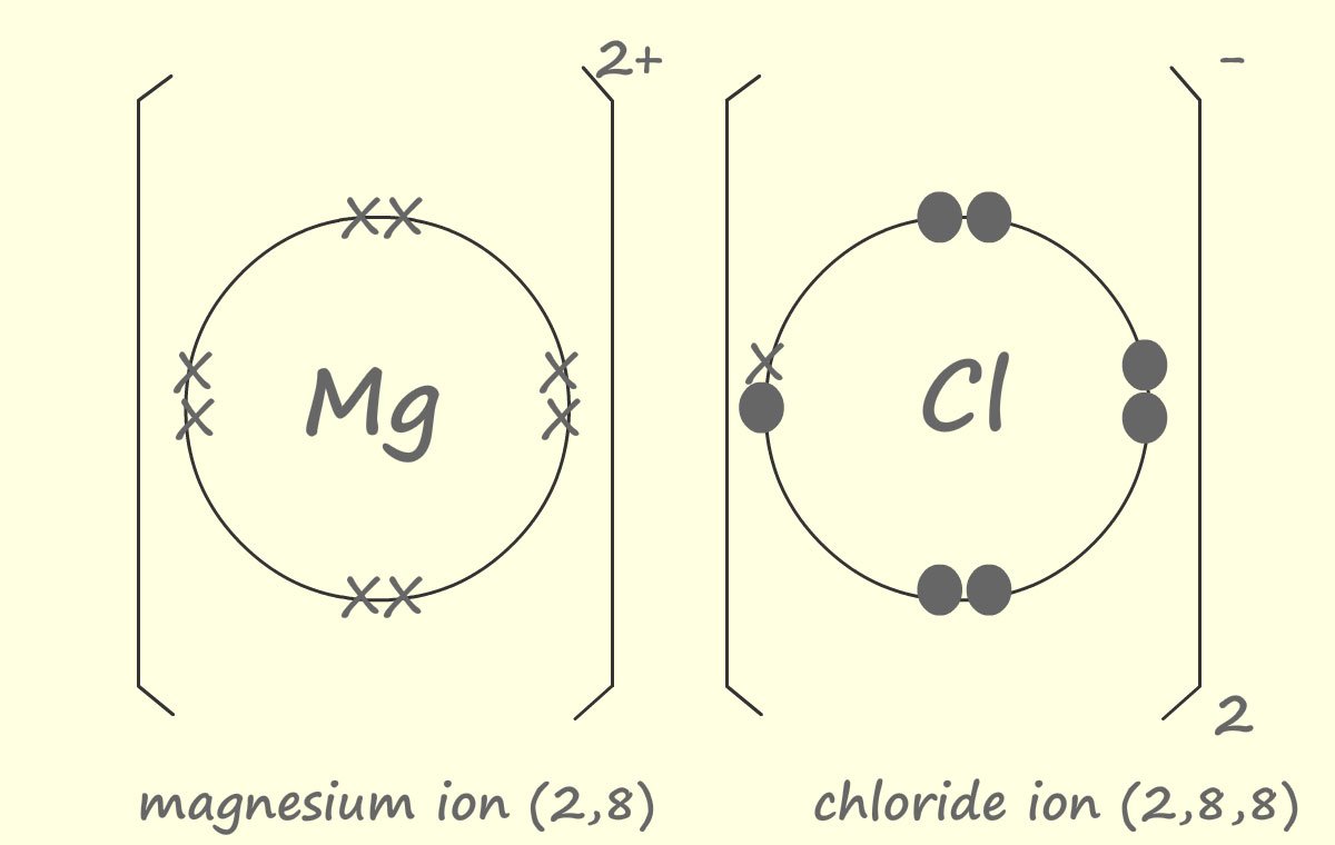 dot and cross diagram for magnesium chloride