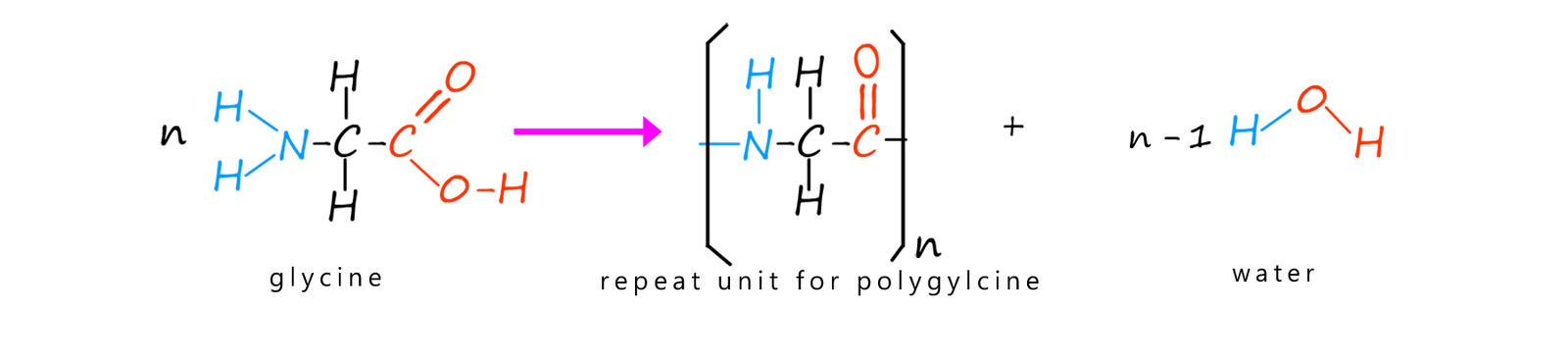 formation of polyglycine from glycine