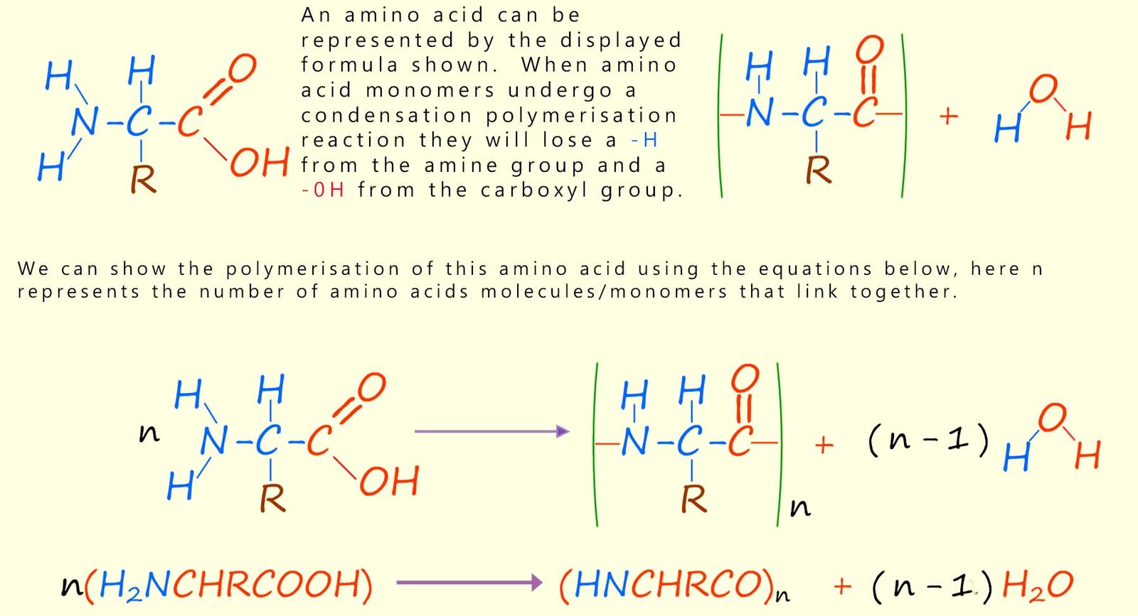Amino acids polymerising to form a polypeptide.