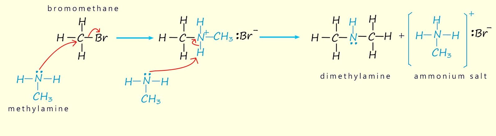 Mechanism for the reaction of a halogenalkane and an amine, nucleophilic substitution.