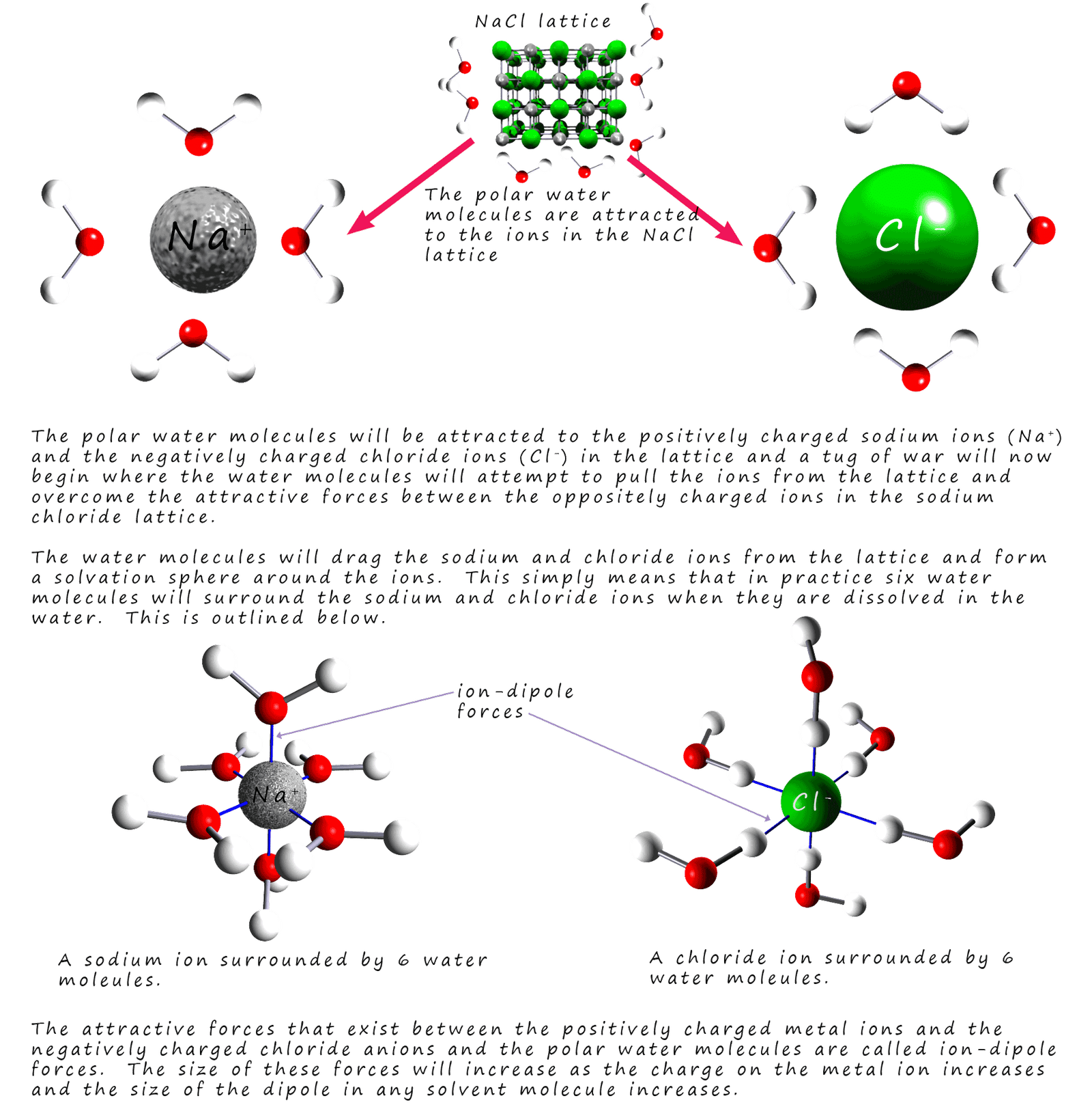 explanation of how ions in sodium chloride dissolve in water by forming solvation spheres.