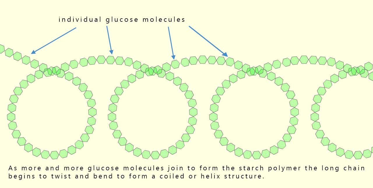 Image shows the coiled structure of starch.