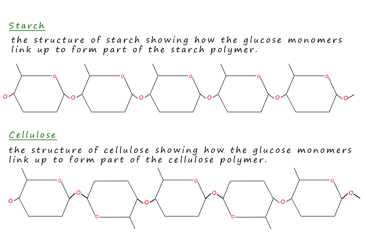 Structures of cellulose and starch.