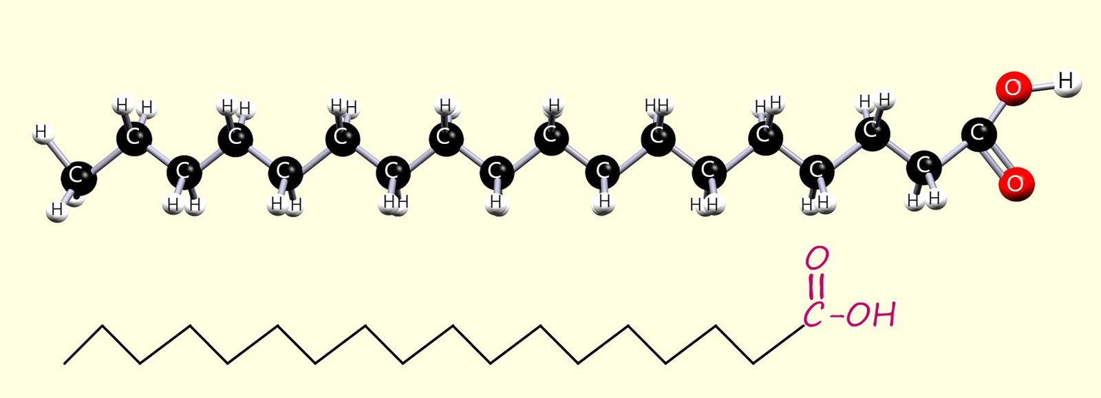 3d model of stearic acid and skeletal formula.