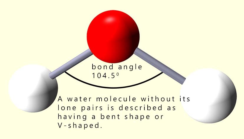Without its lone pairs the water molecule is said to be V-Shaped or bent, 3d model of a water molecule showing its shape.