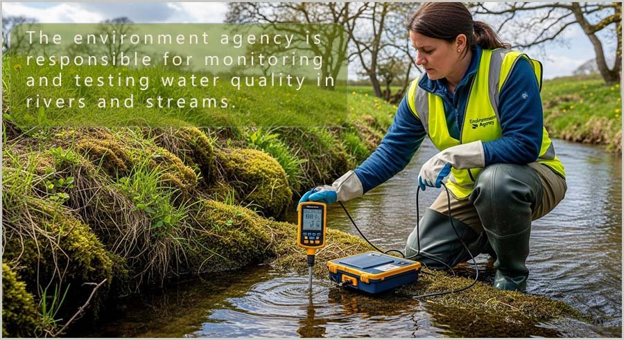 A worker from the environment agency testing water quality in a stream.